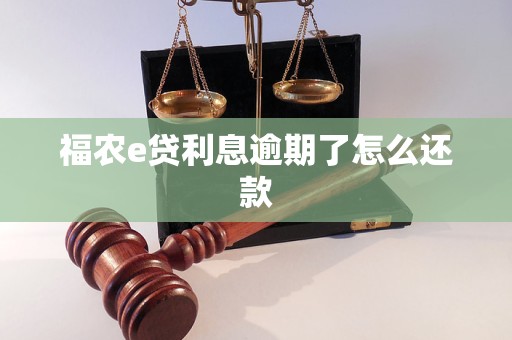 福农e贷利息逾期了怎么还款