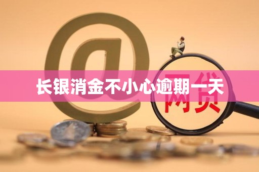 长银消金不小心逾期一天