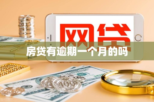 房贷有逾期一个月的吗