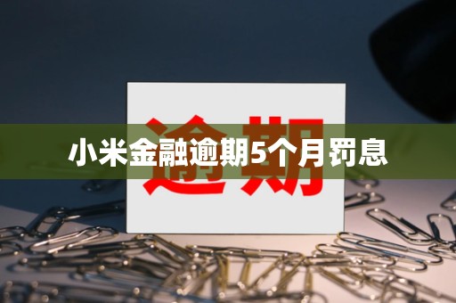 小米金融逾期5个月罚息