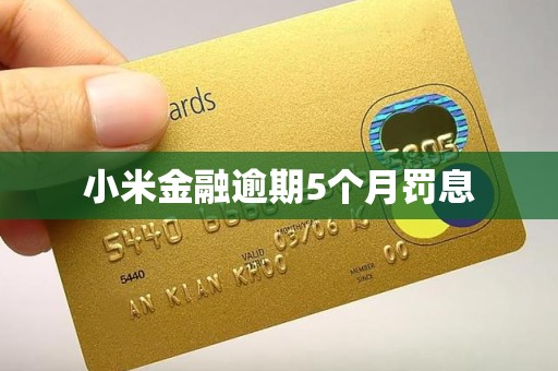 小米金融逾期5个月罚息