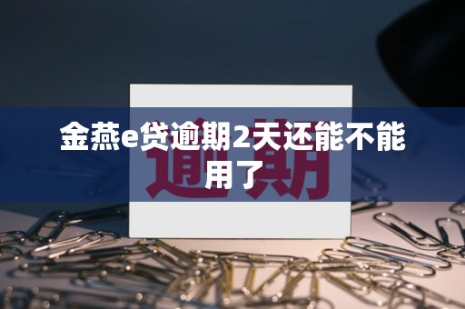 金燕e贷逾期2天还能不能用了