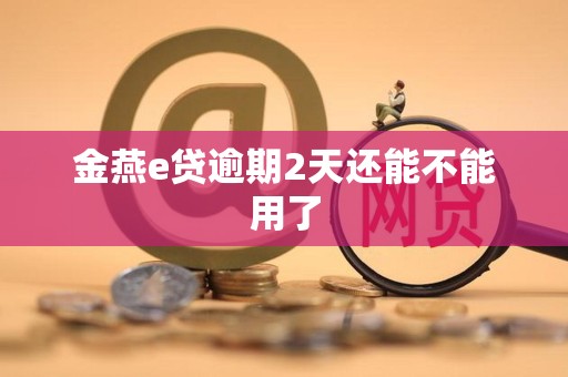 金燕e贷逾期2天还能不能用了