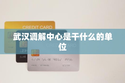 武汉调解中心是干什么的单位 武汉调解中心是干什么的单位