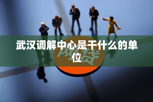 武汉调解中心是干什么的单位 武汉调解中心是干什么的单位