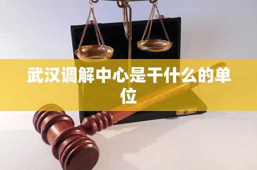 武汉调解中心是干什么的单位 武汉调解中心是干什么的单位