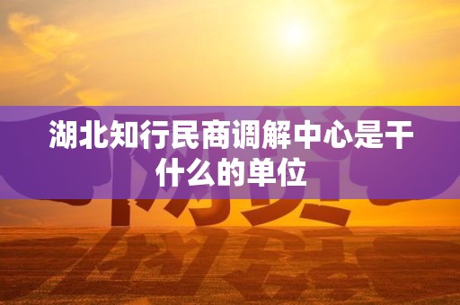 湖北知行民商调解中心是干什么的单位 湖北知行民商调解中心是干什么的单位