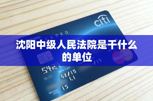 沈阳中级人民法院是干什么的单位