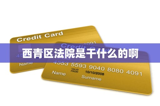 西青区法院是干什么的啊