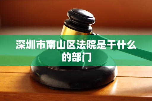 深圳市南山区法院是干什么的部门