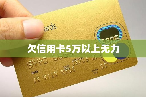 欠信用卡5万以上无力