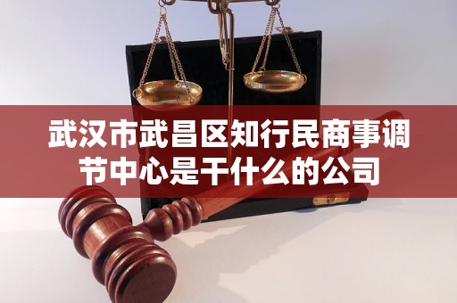 武汉市武昌区知行民商事调节中心是干什么的公司 武汉市武昌区知行民商事调节中心是干什么的公司