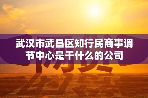 武汉市武昌区知行民商事调节中心是干什么的公司 武汉市武昌区知行民商事调节中心是干什么的公司