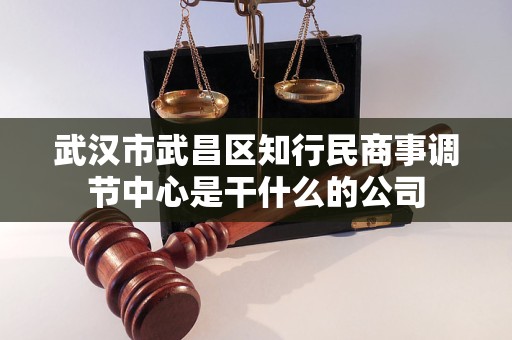 武汉市武昌区知行民商事调节中心是干什么的公司 武汉市武昌区知行民商事调节中心是干什么的公司