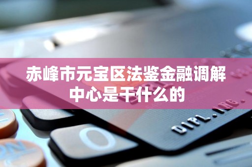 赤峰市元宝区法鉴金融调解中心是干什么的