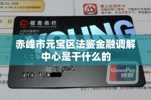 赤峰市元宝区法鉴金融调解中心是干什么的