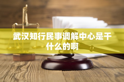 武汉知行民事调解中心是干什么的啊