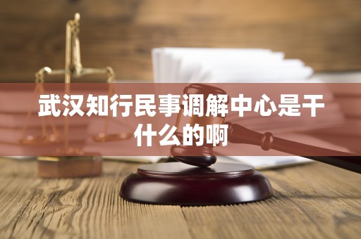武汉知行民事调解中心是干什么的啊
