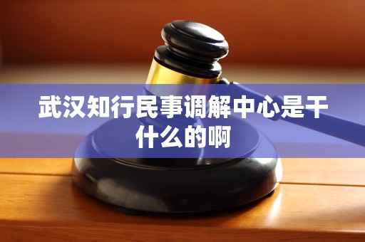 武汉知行民事调解中心是干什么的啊