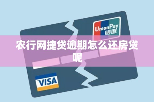 农行网捷贷逾期怎么还房贷呢