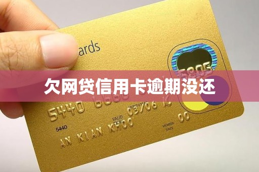 欠网贷信用卡逾期没还