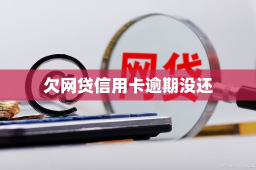 欠网贷信用卡逾期没还