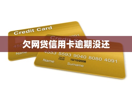 欠网贷信用卡逾期没还