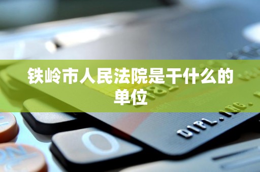 铁岭市人民法院是干什么的单位