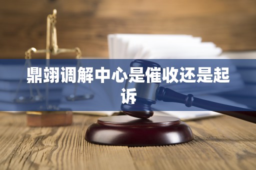 鼎翊调解中心是催收还是起诉 鼎翊调解中心是催收还是起诉