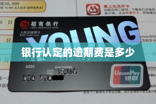 银行认定的逾期费是多少 银行认定的逾期费是多少