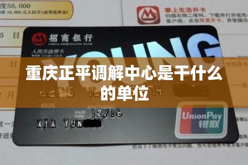 重庆正平调解中心是干什么的单位