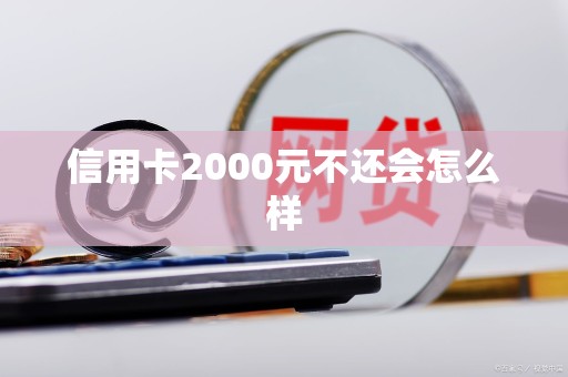 信用卡2000元不还会怎么样