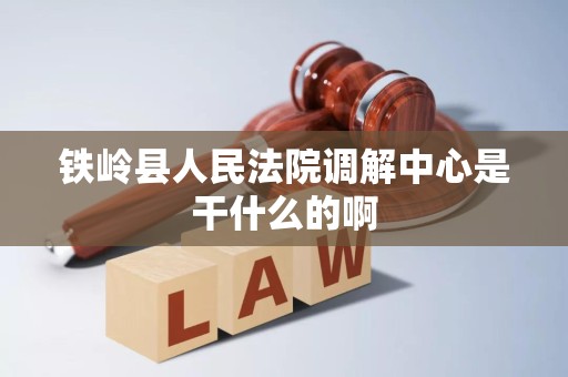 铁岭县人民法院调解中心是干什么的啊