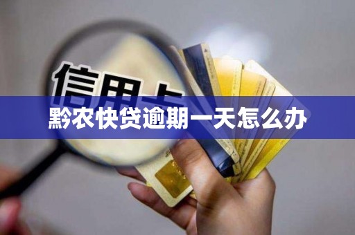 黔农快贷逾期一天怎么办