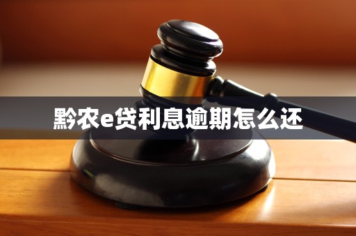 黔农e贷利息逾期怎么还