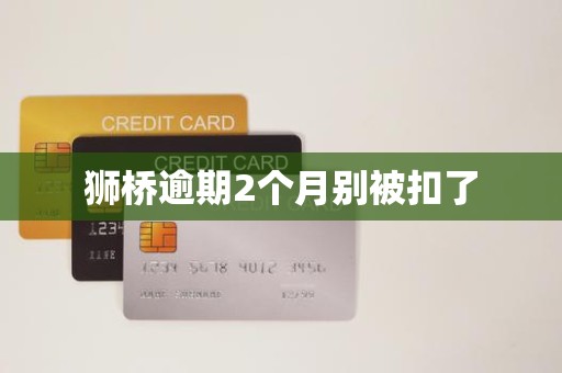 狮桥逾期2个月别被扣了