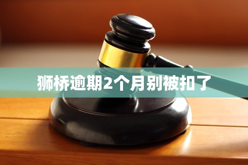 狮桥逾期2个月别被扣了 狮桥逾期2个月别被扣了