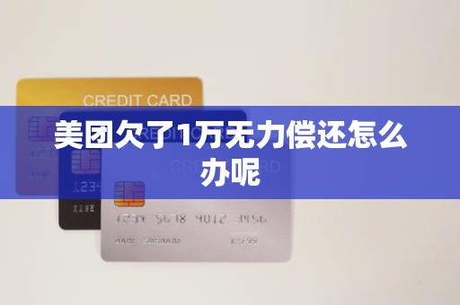 美团欠了1万无力偿还怎么办呢