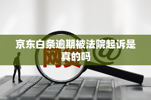 京东白条逾期被法院起诉是真的吗