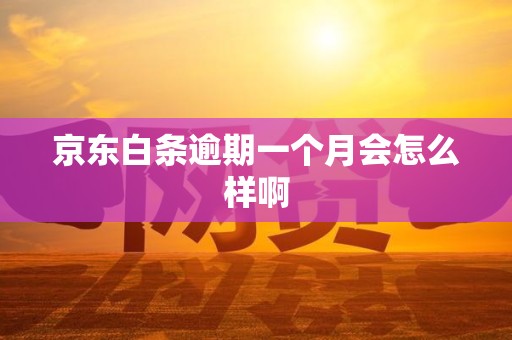 京东白条逾期一个月会怎么样啊 京东白条逾期一个月会怎么样啊