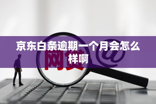 京东白条逾期一个月会怎么样啊