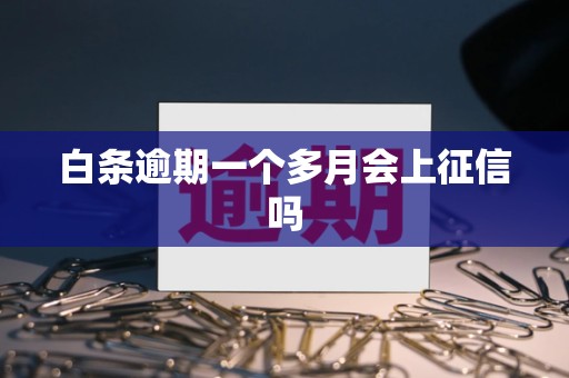 白条逾期一个多月会上征信吗