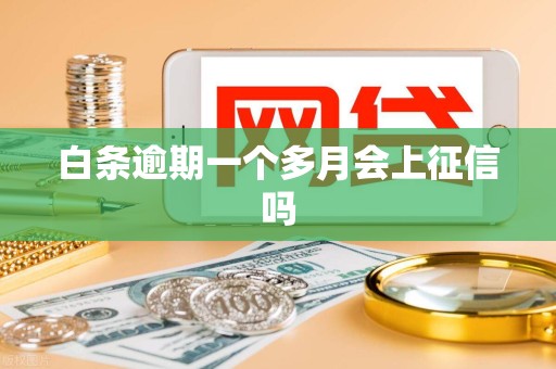 白条逾期一个多月会上征信吗