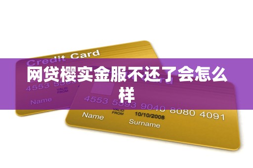 网贷樱实金服不还了会怎么样 网贷樱实金服不还了会怎么样