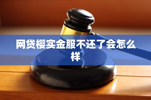 网贷樱实金服不还了会怎么样 网贷樱实金服不还了会怎么样