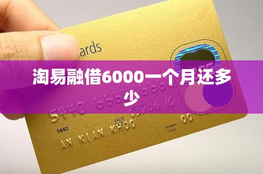 淘易融借6000一个月还多少