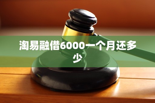 淘易融借6000一个月还多少