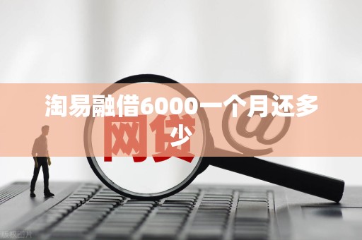 淘易融借6000一个月还多少