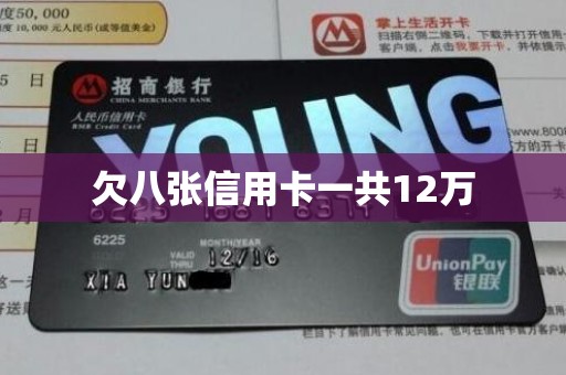 欠八张信用卡一共12万
