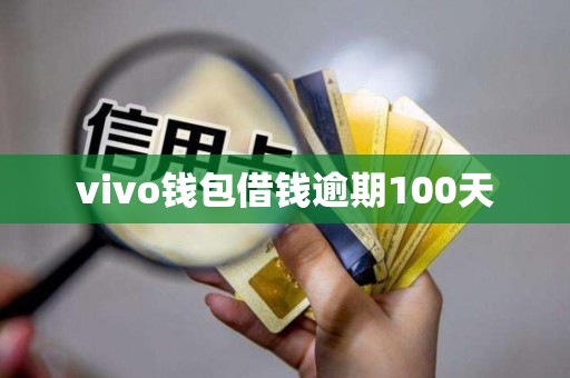 vivo钱包借钱逾期100天